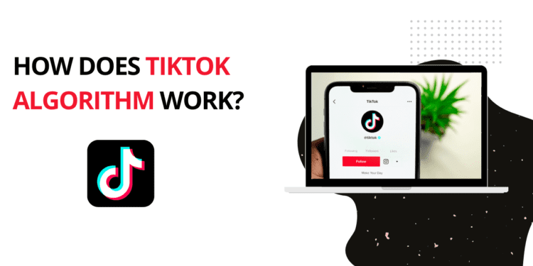 How does TikTok Algorithm work?